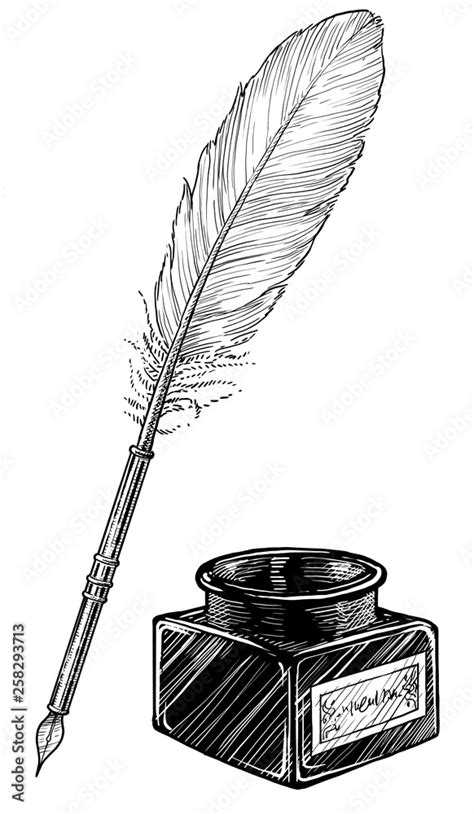 Feather pen and ink bottle illustration, drawing, engraving, ink, line art, vector Stock ...