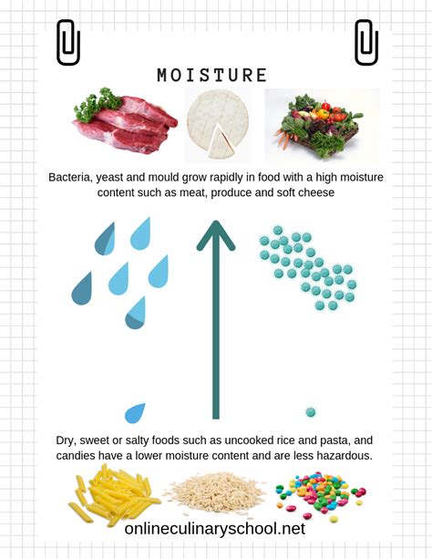 M for Moisture - Online Culinary School for Professionals