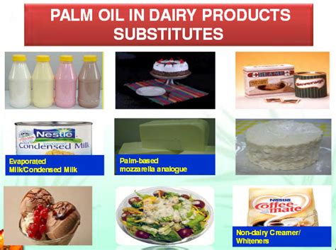 What products contain palm oil and palm kernel oil?_Palm Oil Extraction FAQ