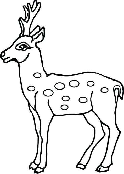 Cool Reindeer Coloring Pages PDF Ideas - Coloringfolder.com | Kitty ...