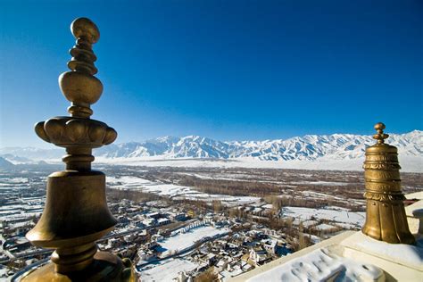 Fauna Travel Seeing Snow Leopards in Wild Ladakh - Fauna Travel