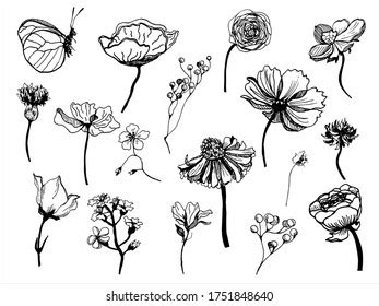 Vector Set Handdrawn Flowers Black White Stock Vector (Royalty Free) 1751848640 | Shutterstock