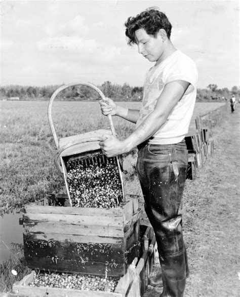 Pin on Life on a Wisconsin Farm