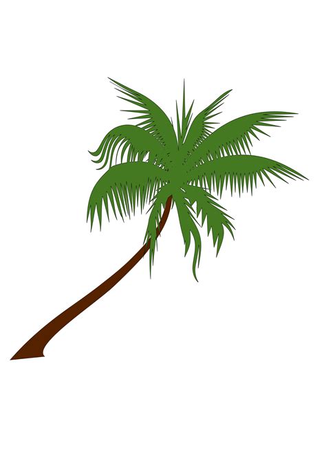 Coconut Tree PNG Images Transparent Free Download