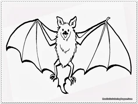 Bat clipart realistic, Bat realistic Transparent FREE for download on ...