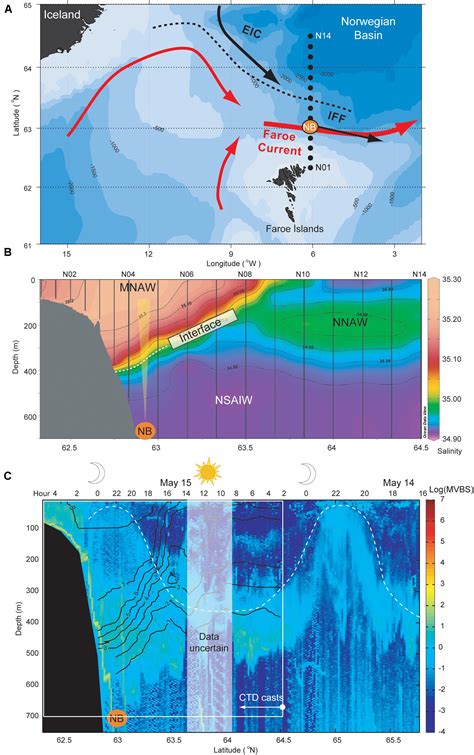 Frontiers | Vertical Migration of Pelagic and Mesopelagic Scatterers From ADCP Backscatter Data ...