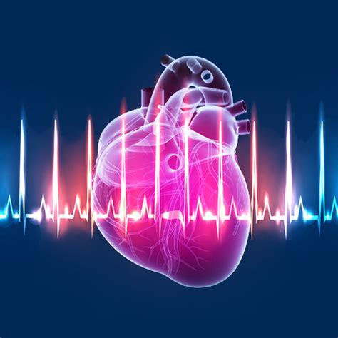 The Science of Heart Rate Variability Made Simple - Webinar