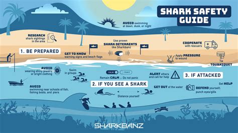 How to Avoid a Shark Attack - Shark Safety Guide