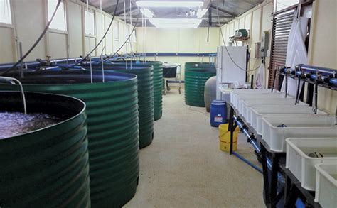 Infrastructure for aquaculture