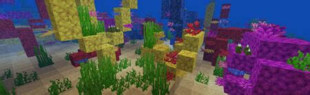 Minecraft Coral Reef Seeds (2020, 1.14 & 1.15) - Pro Game Guides