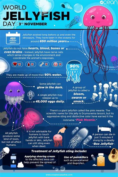 Ancient, Beautiful, And Deadly Jellyfish | Daily Infographic