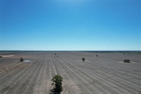 1425 Noondoo Mungindi Road, Dirranbandi QLD 4486 - Sold Rural & Farming ...