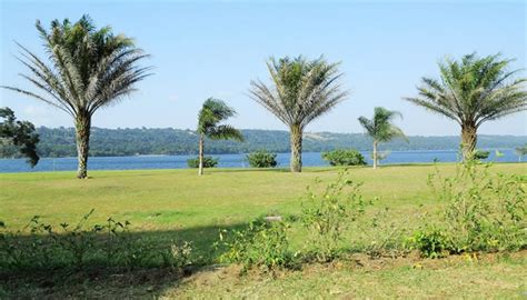 Why you need to visit Ssese Islands in Kalangala district | My Uganda