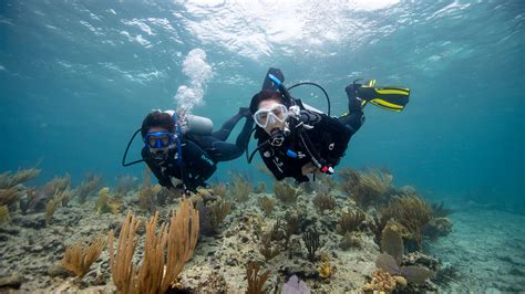 Journée Women's Dive Day | PADI