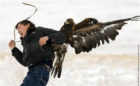 Golden Eagle Hunting in Kazakhstan