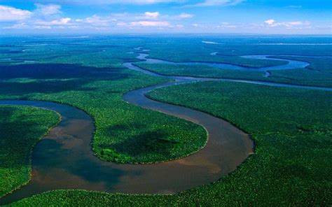 Mahakam Discovery Tour,mahakam River Tour,Kalimant | Borneo travel, Travel guide, Borneo