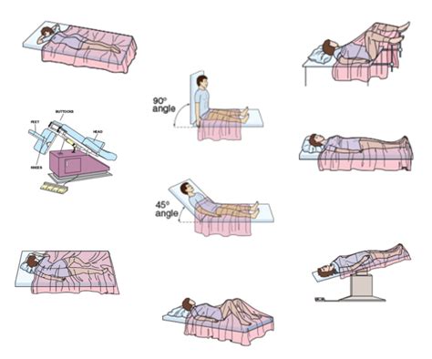 Diagram: Examination Positions | Exam Room Procedures I Diagram | Quizlet