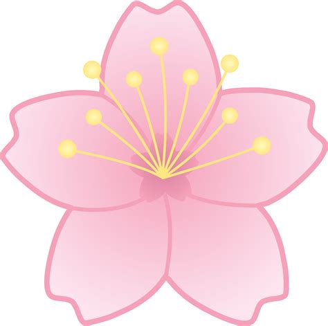 sakura.png (5063×5032) | Cherry blossom clip art, Cherry blossom ...