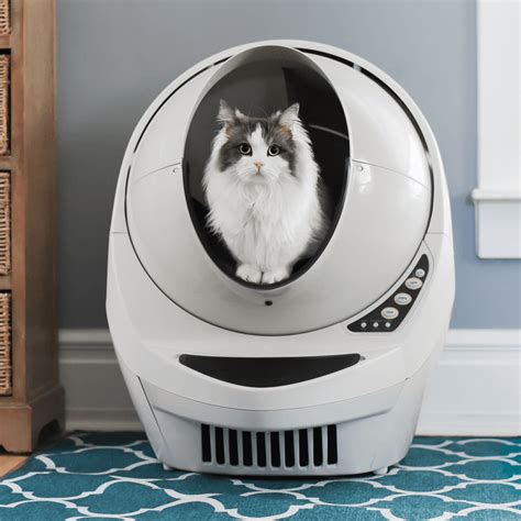 Keep Your Kitty Happy With Litter Robot 3 | Pets Nurturing