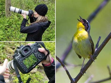 Is 400mm Enough For Bird Photography? - Examples and Tips