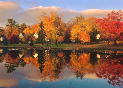 Autumn at Binney Park, Old Greenwich, CT by John William Hayes | Old ...