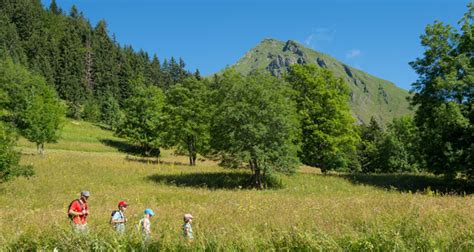 French-Alps-Summer - frenchalps.co.uk