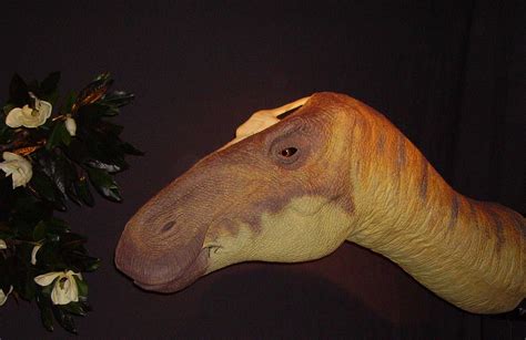 The 10 Strangest Dinosaur Names