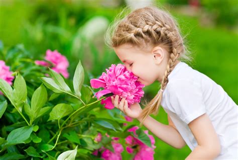 Why Do Flowers Smell | Flowers That Smell Good | Petal Talk