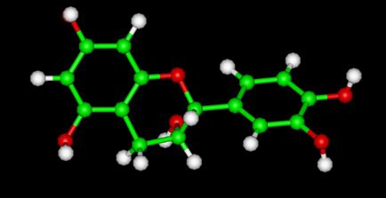 Epicatechin Molecule