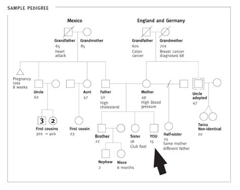 Pedigrees and Disease | Biology for Majors I