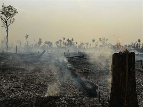 Amazon Deforestation and Fires are a Hazard to Public Health - Eos