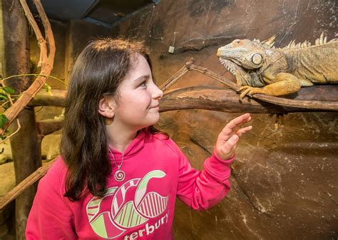 Animal Encounters - National Reptile Zoo