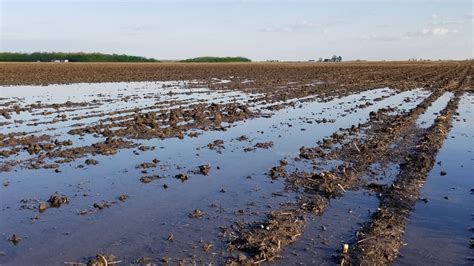 Muddy Fields Cause Slow Planting Completion Again This Year | Brandenburg Farms