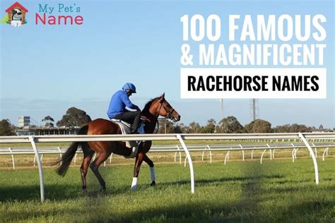 Racehorse Names: 100 Famous & Magnificent Thoroughbred Names | My Pet's ...