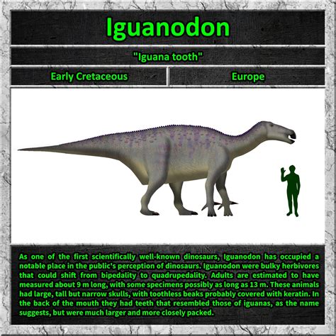 Iguanodon : r/Dinosaurs