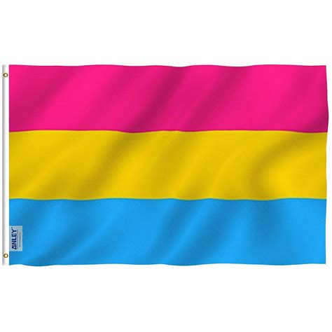 ANLEY Fly Breeze 3x5 Foot Pansexual Pride Flag - Vivid Color and UV Fade Resistant - Canvas ...