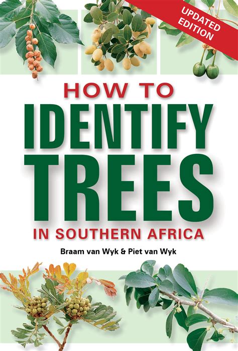 How to Identify Trees in South Africa (New Edition) | Penguin Random ...