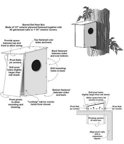 Image detail for -Wild Acres - Barred Owl Nest Box Plans ...