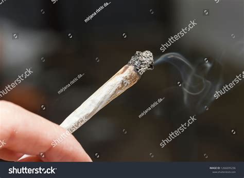 Joint lit Images, Stock Photos & Vectors | Shutterstock