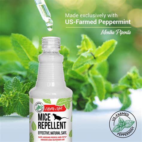 Mice Repellent Peppermint Spray - 16 oz – Pure Origin Products