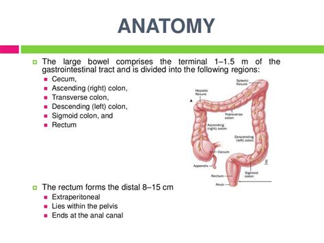 Serrated lesions of colon and rectum