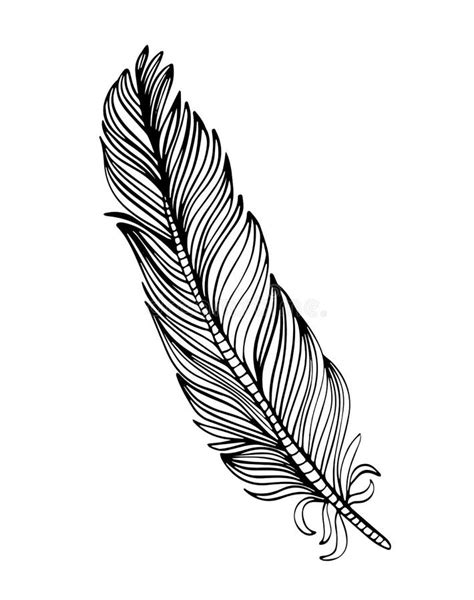 Hand Drawn Ornamental Feather, Line Art, Zentangle Inspired Illustration Stock Illustration ...