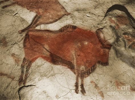 Altamira Cave Paintings #4 Photograph by Photo Researchers - Fine Art ...