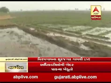 watch : Ground report of Viramgam Taluka after Narmada water enter in ...