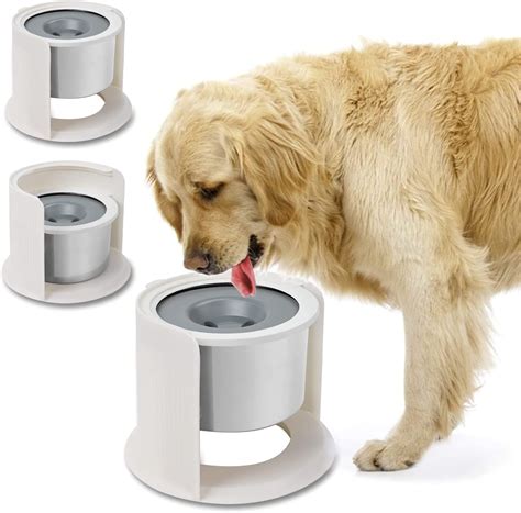 Buy 4.4L Dog Water Elevated,Slow Water No Spill Dog ,9in Adjustable ...