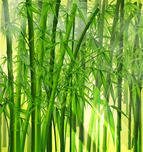 Japanese Bamboo Art Wallpapers - Top Free Japanese Bamboo Art Backgrounds - WallpaperAccess