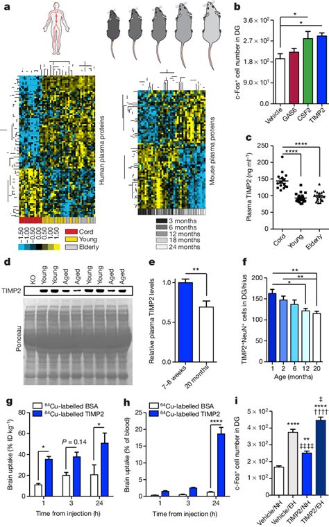 | Protein microarray analysis identifies putative pro-plasticity... | Download Scientific Diagram