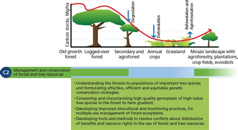 Flagship 2: Management and conservation of forest and tree resources - Forests, Trees and ...