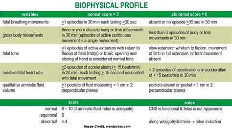 การทดสอบโปรไฟล์ชีวฟิสิกส์ (BPP): ทำความเข้าใจกับคะแนนของคุณ - การ ...