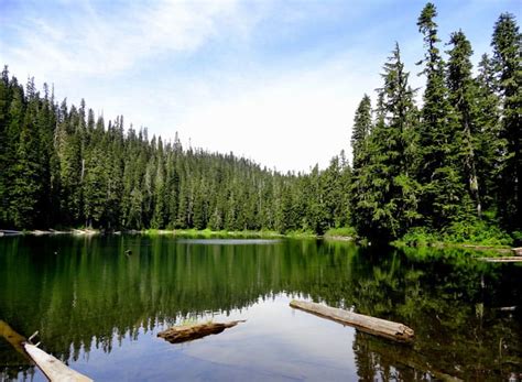 Mountain Biking at Greenwood Lake - Visit Rainier